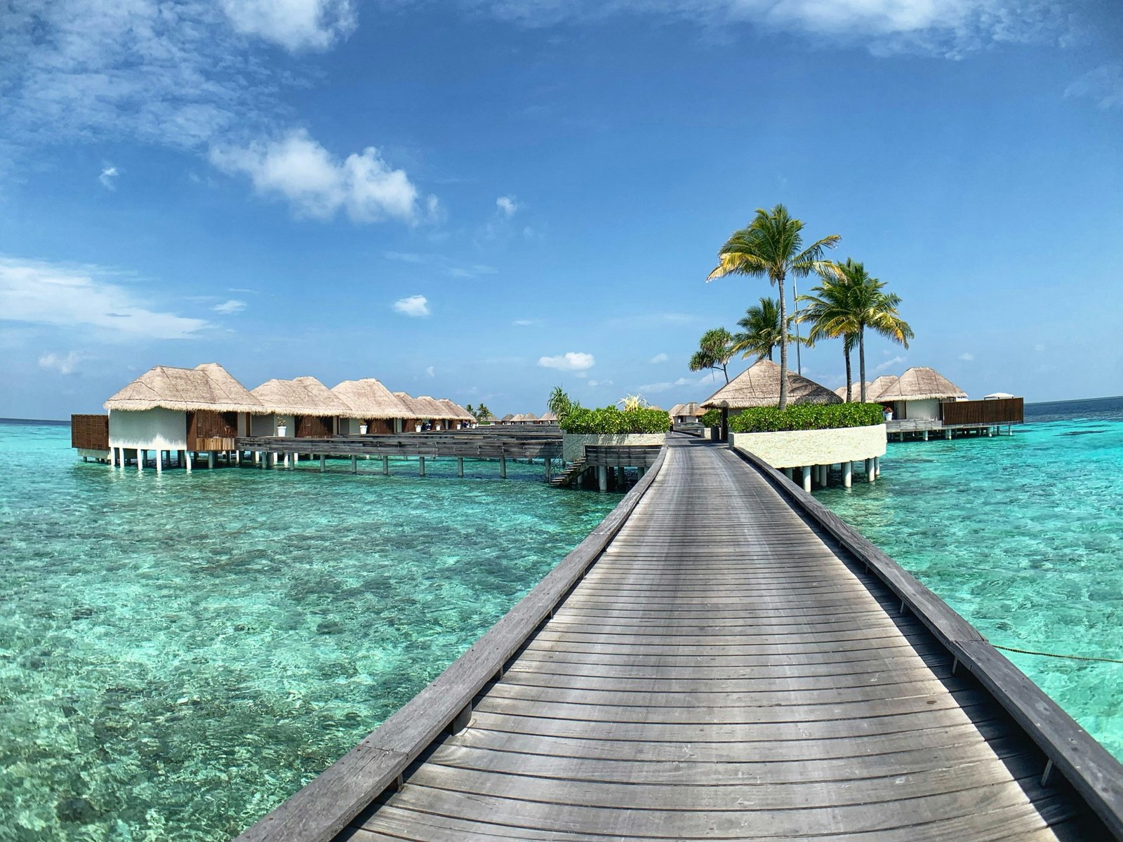 Luxury Travel Scene
